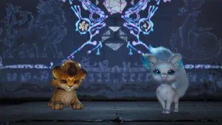 Aniimo Starter : Hélion ou Lunara, lequel choisir ?