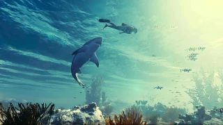 Maneater : Devenez le requin blanc le plus dangereux des océans !