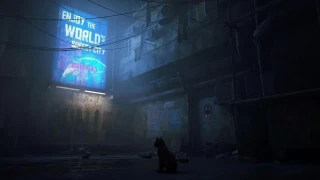 Stray : Quelle est sa durée de vie ?