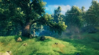 Valheim : Le bois précieux, comment l'obtenir ?