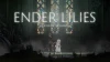 Illustration - ENDER LILIES : Un metroidvania indépendant à la contrée des chemins (Preview)