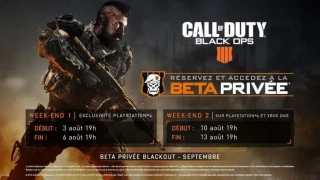 Tout ce qu'il faut savoir sur la bêta de Call of Duty: Black Ops 4 !