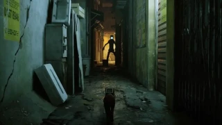 Stray : Un Easter Egg faisant référence à Skyrim découvert
