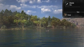 Skull & Bones : L'acacia, comment récupérer le bois pour le navire ?