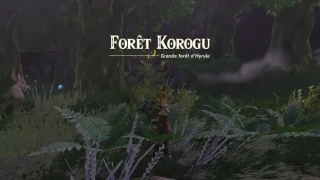 Zelda: Tears of the Kingdom : La Forêt Korogu, comment y accéder ?