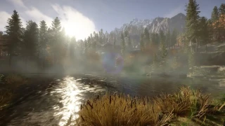 Sons of the Forest : Les saisons, combien de jours durent-elles ?