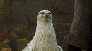 Hogwarts Legacy : Hippogriffe, où et comment en capturer ?