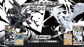 Pokémon TCG : Le set spécial Noir et Blanc contiendra le plus grand nombre de cartes secrètes, du jamais vu à ce jour !