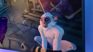 Sea of Thieves : Un premier aperçu des animaux de compagnie dévoilé lors de la gamescom