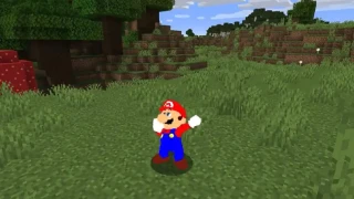 Minecraft : Super Mario s'invite dans le monde cubique