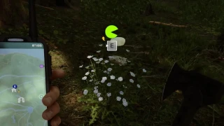 Sons of the Forest : Où trouver de la nourriture en début de partie ?