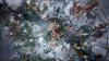 Illustration - Frostpunk 2 est-il dans le Game Pass ?