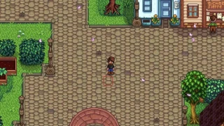 Stardew Valley : Grand coffre, comment en avoir un ?