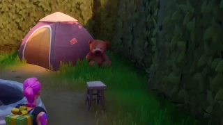 Détruire des nounours à Holly Hedges, Mission Domination locale semaine 12