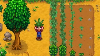 Stardew Valley : La culture et la vente de cannabis est maintenant possible !