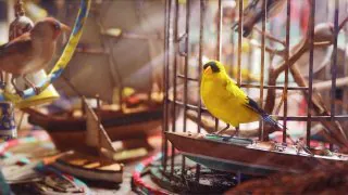 ARC Raiders Projet Alarme Aviaire : toutes les ressources à garder pour les 4 étapes