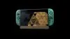 Illustration - La console Nintendo Switch 2 The Legend of Zelda édition 40ème anniversaire est déjà victime de scalpers 