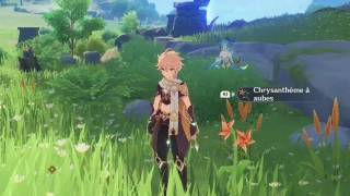 Genshin Impact : Chrysanthème à aubes, où et comment en trouver ?