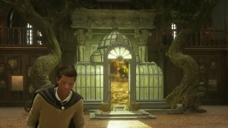 Hogwarts Legacy : Comment avoir plus de vivariums/serres ?
