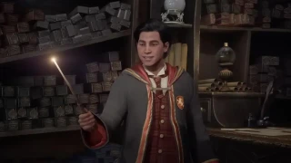 Hogwarts Legacy : Le mode arachnophobie, comment l'activer ?