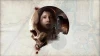 Illustration - The Dark Pictures: The Devil in Me : Différentes éditions, prix et bonus de précommande