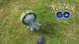 Pokémon GO : Tarsal à l'honneur pour l'heure vedette du 19 août