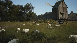 Manor Lords permettra bientôt de manger les moutons