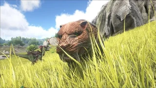 La mise à jour 177.2 pour ARK