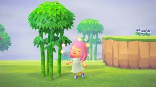 Animal Crossing: New Horizons : Où trouver le bambou et comment s'en servir ?
