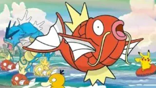 Pokémon TCG : Ce Magicarpe a semé un chaos monstre en Corée du Sud