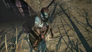 The Blood of Dawnwalker : Emplacement des 5 fées sanzhane