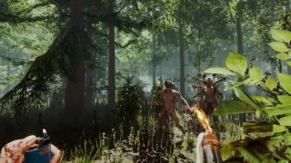 The Forest va bientôt sortir de son accès anticipé