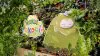 Illustration - Pokémon Pokopia célébré en plein cœur de Paris avec un jardin gratuit à visiter