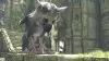 Illustration - The Last Guardian bientôt adapté au cinéma ?