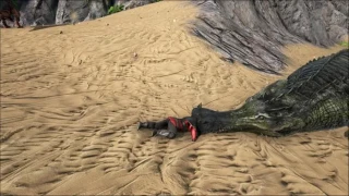 ARK, la mise à jour 181