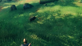 Valheim : Capturer & apprivoiser des sangliers