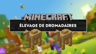 Minecraft : Comment apprivoiser et élever des dromadaires ?