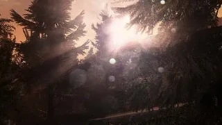 Infestation - Mise à jour du 16/01