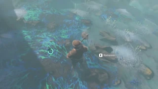 Enshrouded : Bois de brume, où en trouver ?