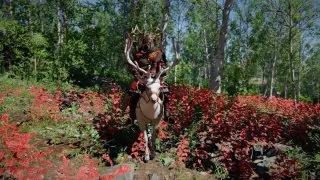 Cerf blanc Crimson Desert : Comment débloquer cette monture légendaire ?