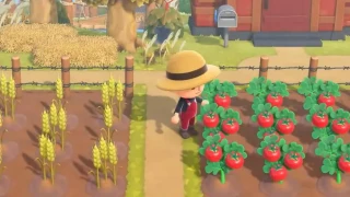 Animal Crossing: New Horizons : Quand sera disponible la mise à jour 2.0 ?