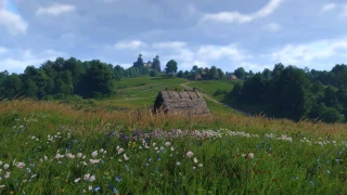 Kingdom Come: Deliverance 2 : Les nids d'oiseau, comment les faire tomber et avoir leur contenu ?