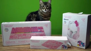 Razer : Découverte de la nouvelle collection limitée Hello Kitty
