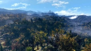 Fallout 76 : Un joueur découvre une combinaison de mutations et de Perk Card qui permet de voler