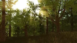 Rust France rejoint GAMEWAVE