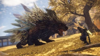 Wild Hearts ne proposera pas de microtransactions ni de contenu post-lancement payant