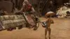Illustration - Star Wars: Galactic Racer a été façonné par une série documentaire sur Netflix
