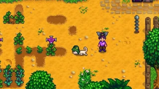 Stardew Valley : Si vous avez un problème avec la mise à jour 1.6.9, testez cette astuce