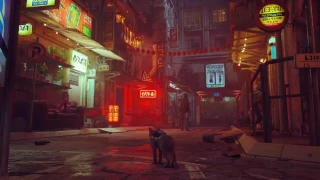 Stray va s'offrir un portage sur Nintendo Switch
