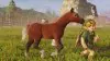 Illustration - Zelda Ocarina of Time s'offre une nouvelle bande-annonce